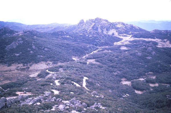Mount Buffalo, Victoria State